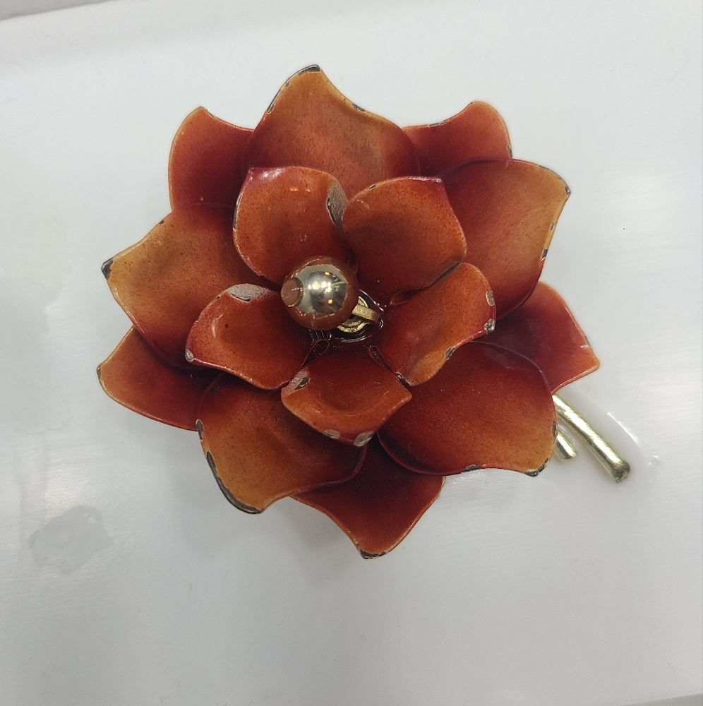 Stunning‎ coro Brooch